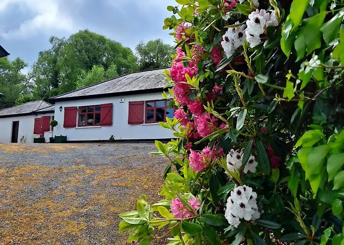 Corrib