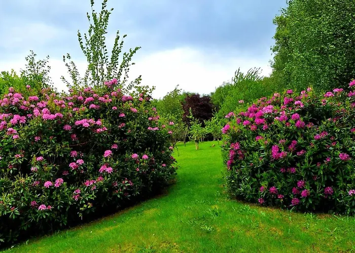 Corrib Gortnashingaun